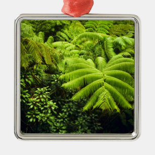 Hawaii, Big Island, Lush tropical greenery in 2 Metal Tree Decoration