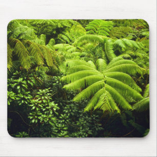 Hawaii, Big Island, Lush tropical greenery in 2 Mouse Pad