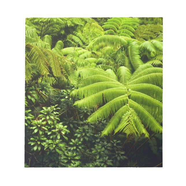 Hawaii, Big Island, Lush tropical greenery in 2 Notepad (Front)