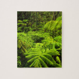 Hawaii, Big Island, Lush tropical greenery in Jigsaw Puzzle