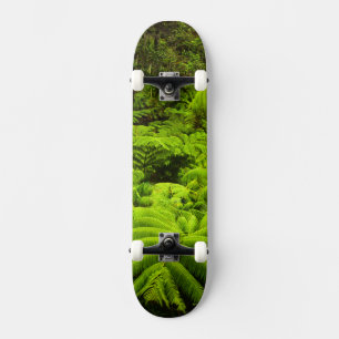 Hawaii, Big Island, Lush tropical greenery in Skateboard