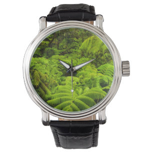 Hawaii, Big Island, Lush tropical greenery in Watch