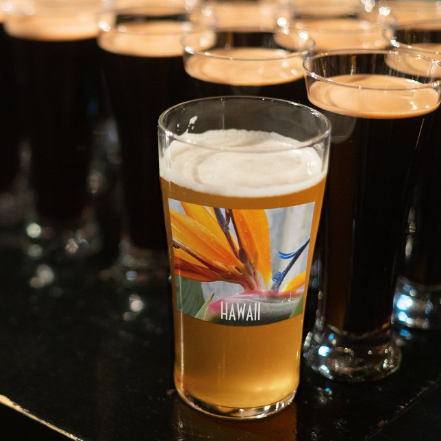 Hawaii Bird of Paradise Plant Flower Glass (In Situ)