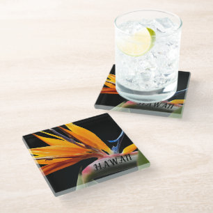 Hawaii Bird of Paradise Plant Flower Glass Coaster