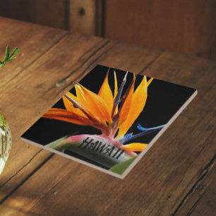 Hawaii Bird of Paradise Plant Flower Tile