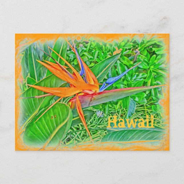 Hawaii bird paradise postcard (Front)