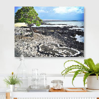 Hawaii Black Sand Beach & Coral “Love” Heart Photo