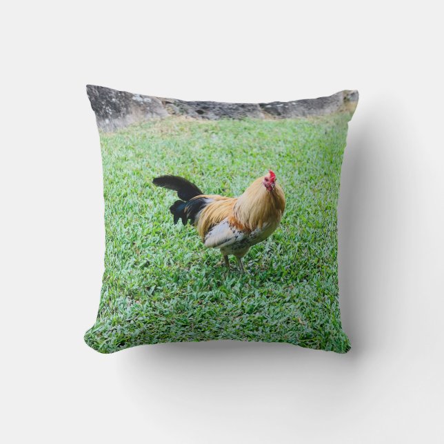 hawaii chicken hen photo cushion (Front)
