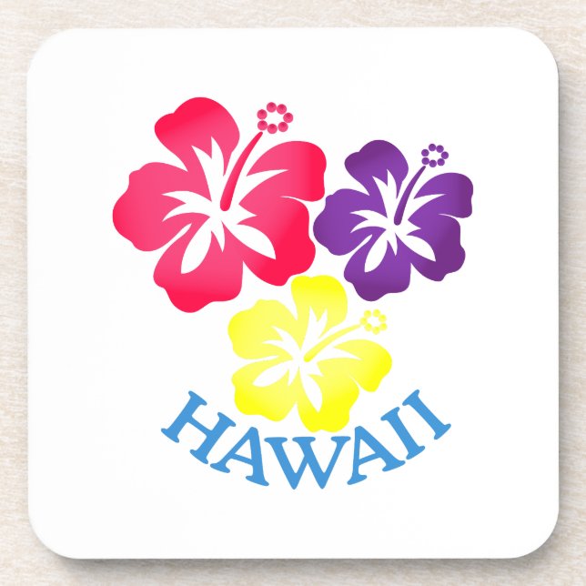 Hawaii Coaster (Front)