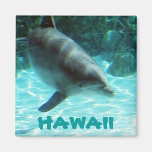Hawaii Dolphin Magnet