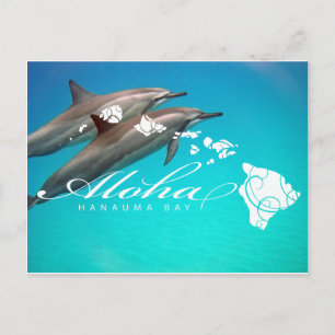 Hawaii Dolphins and Hawaii Islands Postcard