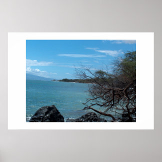 Hawaii fishing poster