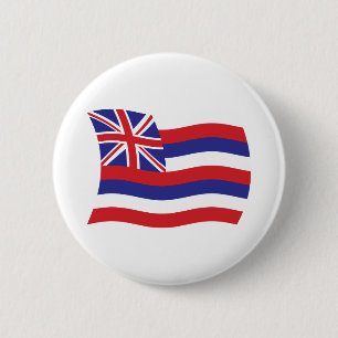 Hawaii Flag Button