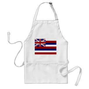 Hawaii flag standard apron