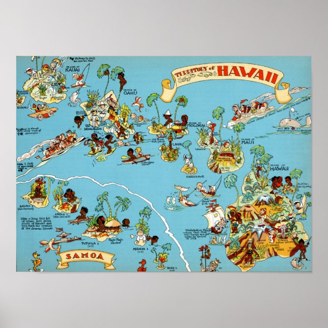 Hawaii Funny Map Poster (Front)