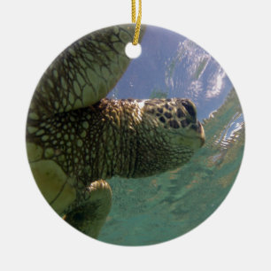 Hawaii Green Sea Turtle Ceramic Tree Decoration