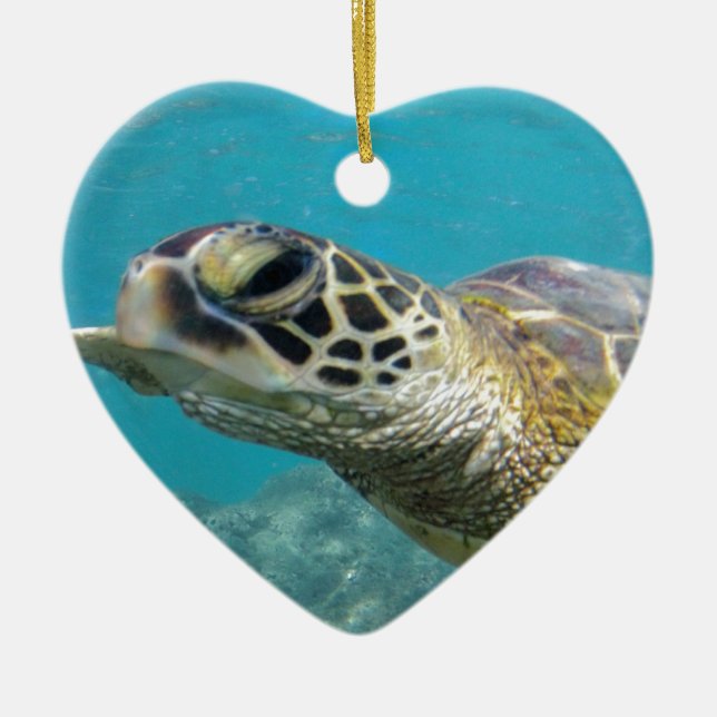 Hawaii Green Sea Turtle Ceramic Tree Decoration (Front)