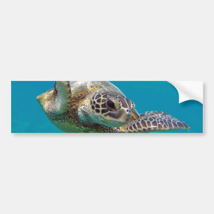 Hawaii Green Sea Turtle - Honu Bumper Sticker