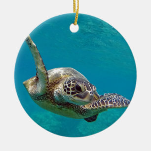 Hawaii Green Sea Turtle - Honu Ceramic Tree Decoration