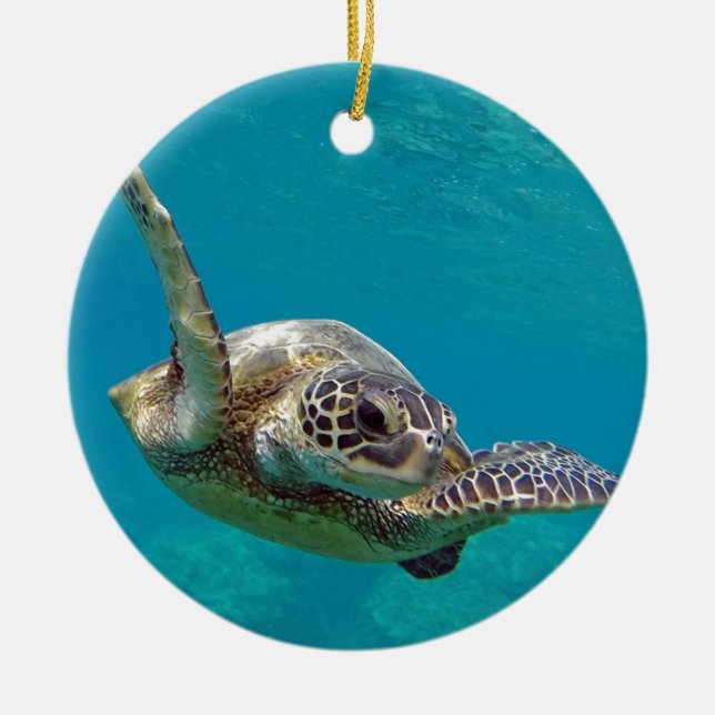 Hawaii Green Sea Turtle - Honu Ceramic Tree Decoration (Front)