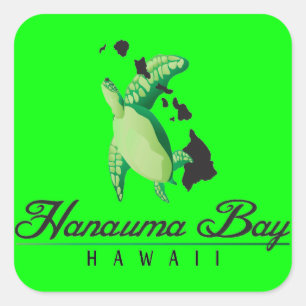 Hawaii Green Sea Turtle Square Sticker
