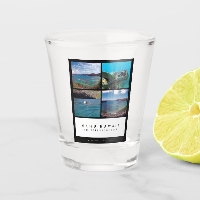 Hawaii Hanauma Bay Shot glass (Front)