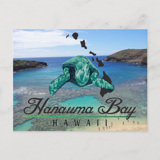 Hawaii Hanauma Bay Turtle - Honu Postcard (Front)