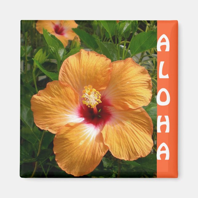 Hawaii Hibiscus Aloha Magnet (Front)