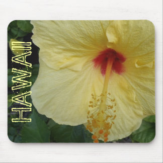 Hawaii hibiscus flower mousepad