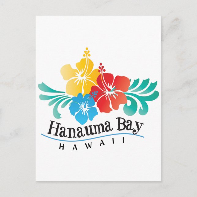 Hawaii Hibiscus Flowers Postcard (Front)