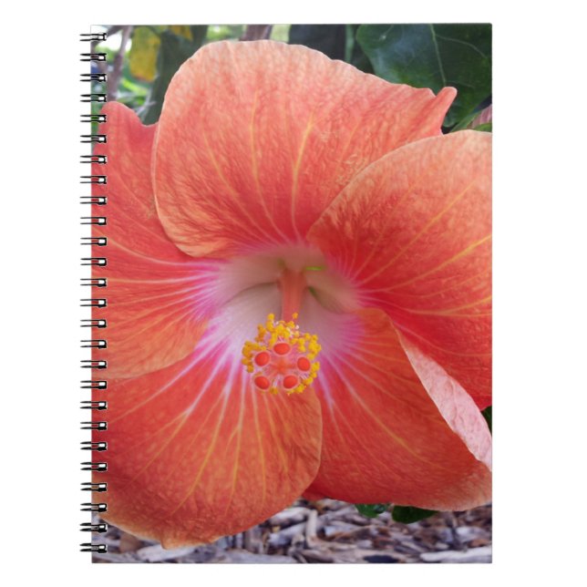 Hawaii Hibiscus Flowers Spiral Notebook (Front)