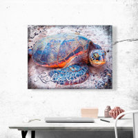 Hawaii Honi Sea Turtle Close-up Photo Relax Script