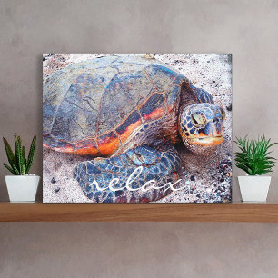 Hawaii Honu Sea Turtle Beach Close-up Photo Relax Canvas Print
