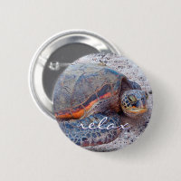 Hawaii Honu Sea Turtle Photo Relax Script Bold