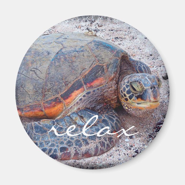 Hawaii honu tropical sea turtle photo relax script magnet (Front)