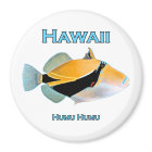 Hawaii Humu Humu Fish