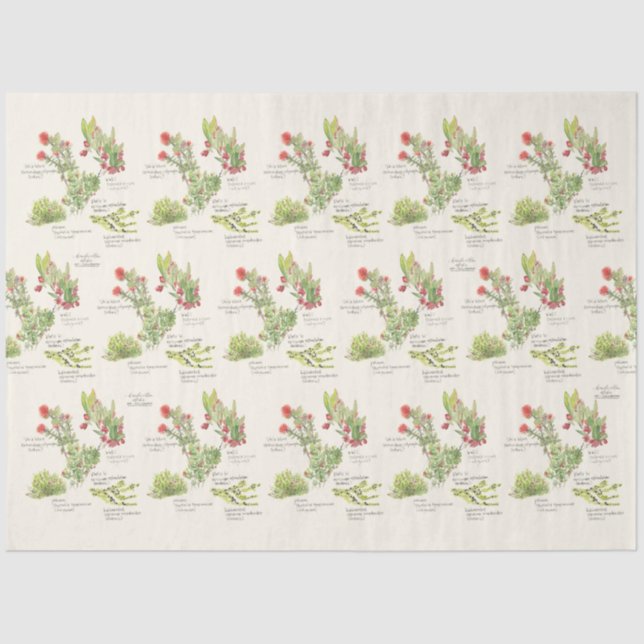 Hawai'i Island Volcano Native Plants Tissue Paper (Front)