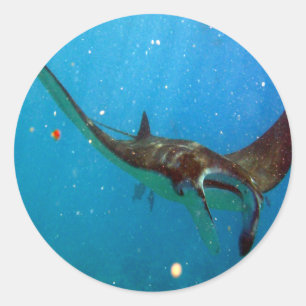 Hawaii Manta Ray Classic Round Sticker