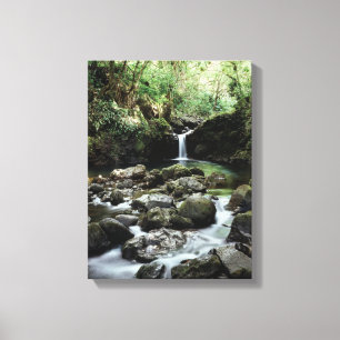 Hawaii, Maui, A waterfall flows into Blue Pool Canvas Print
