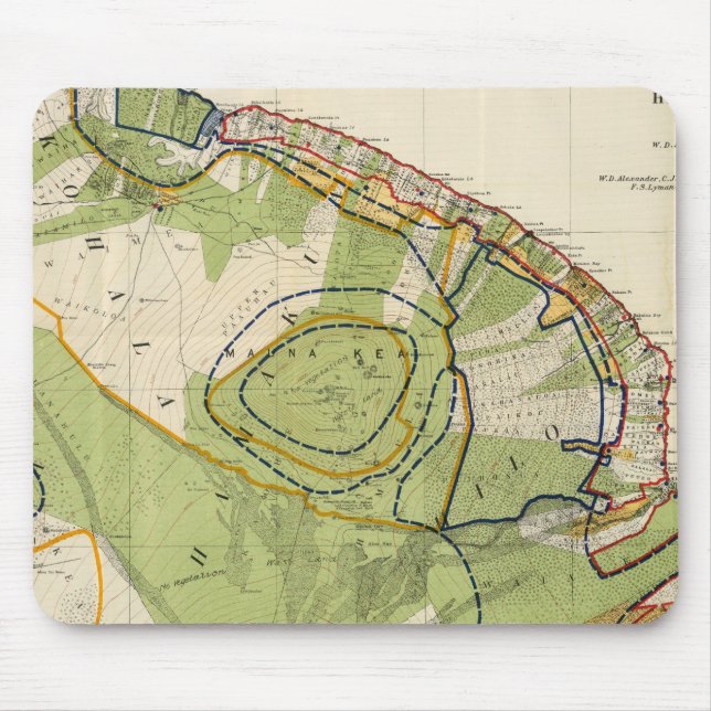 Hawaii Mouse Pad (Front)