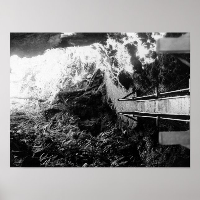 Hawaii National Park, View of a Lava Tube Poster (Front)