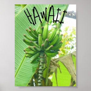 HAWAII NATURE POSTER