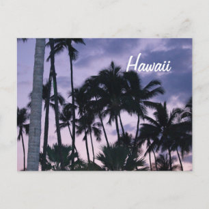 Hawaii palm trees at sunset postcard
