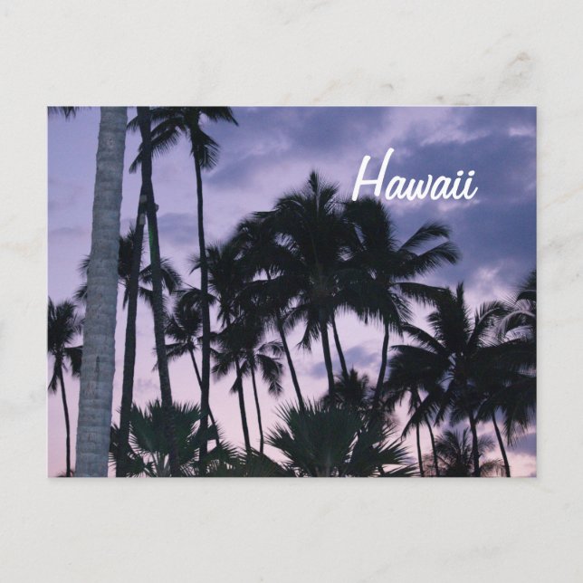 Hawaii palm trees at sunset postcard (Front)