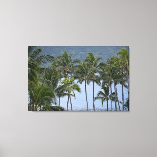 Hawaii Palm Trees Canvas Print (Front)