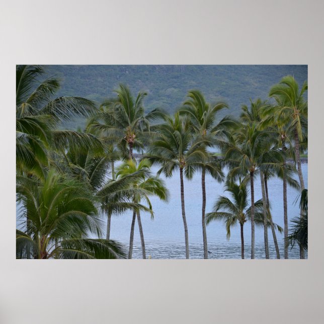 Hawaii Palm Trees Poster (Front)