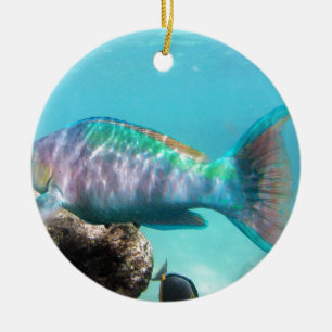Hawaii Parrot Fish Ceramic Tree Decoration