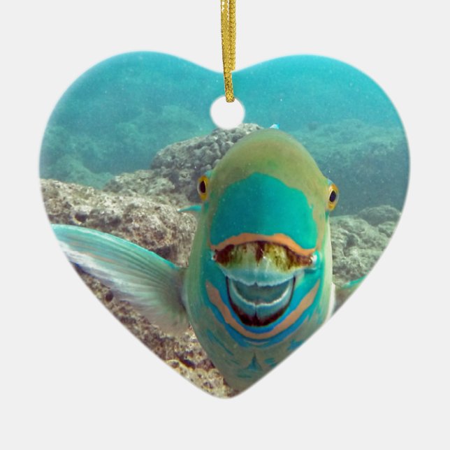 Hawaii Parrot Fish - Uhu Ceramic Tree Decoration (Front)
