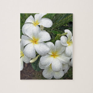 Hawaii Plumeria Flowers Jigsaw Puzzle