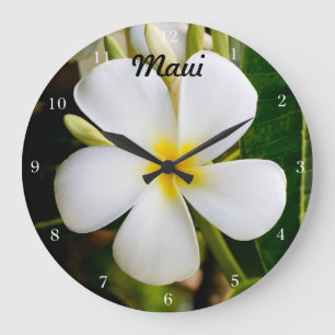 Hawaii Plumeria Large Clock